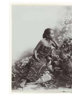 Gambar 7. Foto studio gadis Jawa duduk di atas dedaunan, jerami, dan batang pohon Foto Kassian Cephas ca