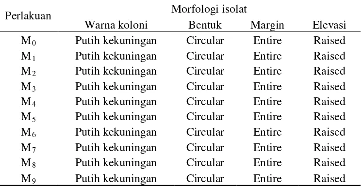 Tabel 2. Morfologi isolat sebelum dipapari UV (M0) dan setelah  pemaparan sinar UV (M1-M9)  