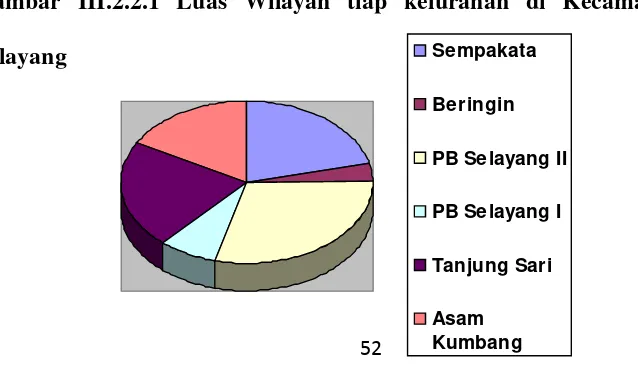 Gambar III.2.2.1 Luas Wilayah tiap kelurahan di Kecamatan Medan 