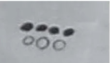 Figure 4.2. Student’s representation of  