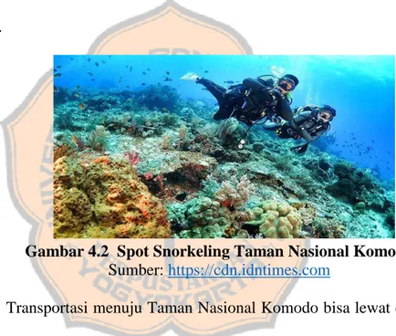 Gambar 4.2  Spot Snorkeling Taman Nasional Komodo  Sumber: https://cdn.idntimes.com 