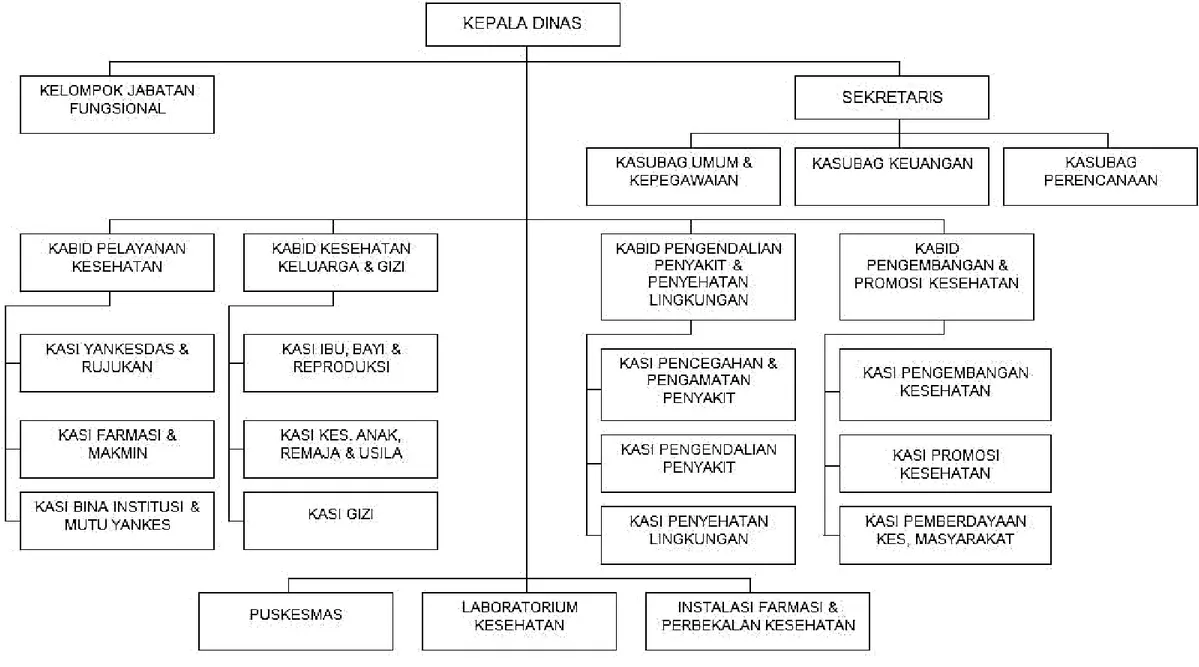 Gambar 1.1 Struktur organisasi Dinas Kesehatan Kabupaten Probolinggo 