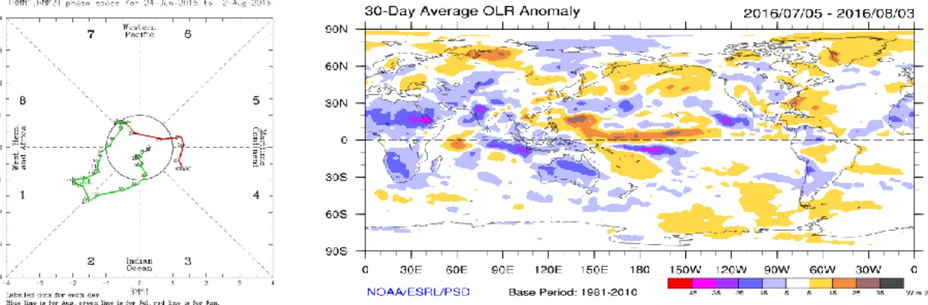 Gambar 3. Siklus posisi MJO dan anomali OLR selama Juli 2016, Warna ungu adalah OLR negatif,  warna orange-coklat adalah OLR positif (Sumber : BoM &amp; NOAA) 