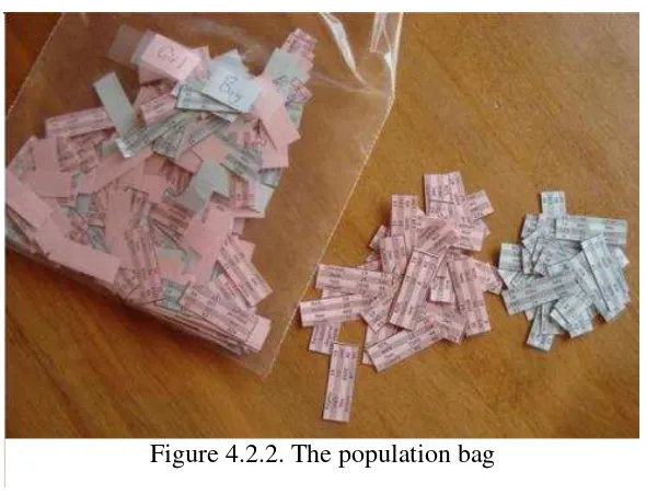 Figure 4.2.2. The population bag 
