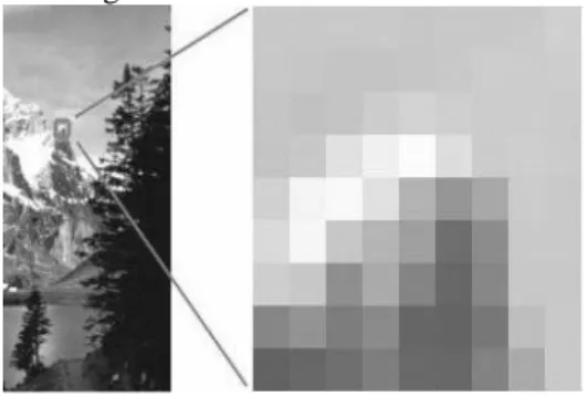 Gambar 1 Pixel pada Citra digital 