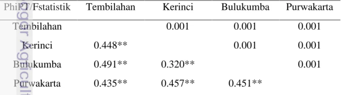 Tabel 13  Pasangan nilai PhiPT dan uji statistik antar populasi G.  mangostana .  PhiPT/Fstatistik  Tembilahan  Kerinci  Bulukumba  Purwakarta 