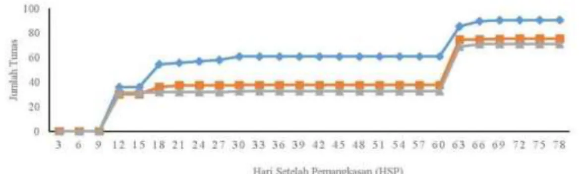 Tabel  3  menunjukkan  bahwa  perlakuan  pemupukan nitrogen dan bentuk pemangkasan  tidak  memberikan  pengaruh  yang  nyata  terhadap  tingkat  kehijauan  daun  jeruk  keprok  Borneo  Prima