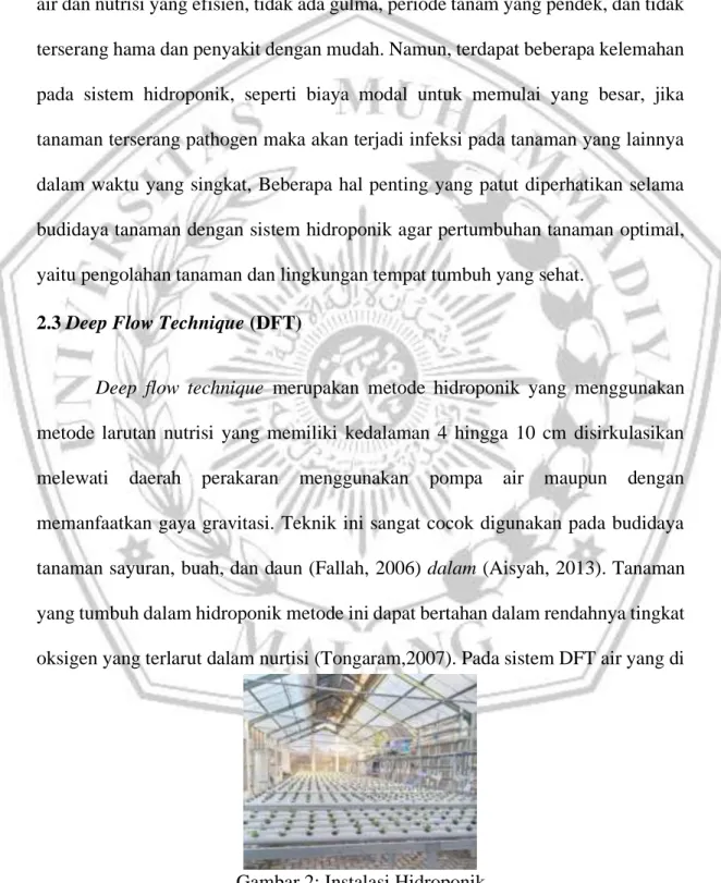 Gambar 2: Instalasi Hidroponik 