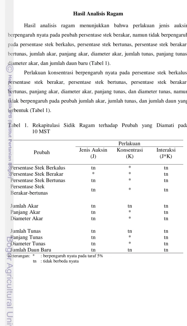 Tabel 1. Rekapitulasi Sidik Ragam terhadap Peubah yang Diamati  pada   10 MST  Peubah  Perlakuan Jenis Auksin  (J)  Konsentrasi (K)  Interaksi (J*K) 