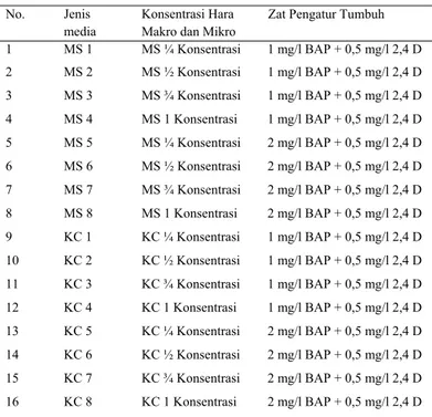 Gambar 1. Pengaruh Konsentrasi Media (MS dan KC) terhadap  Pertumbuhan Daun Planlet Paphiopedilum   glaucophyllum J.J