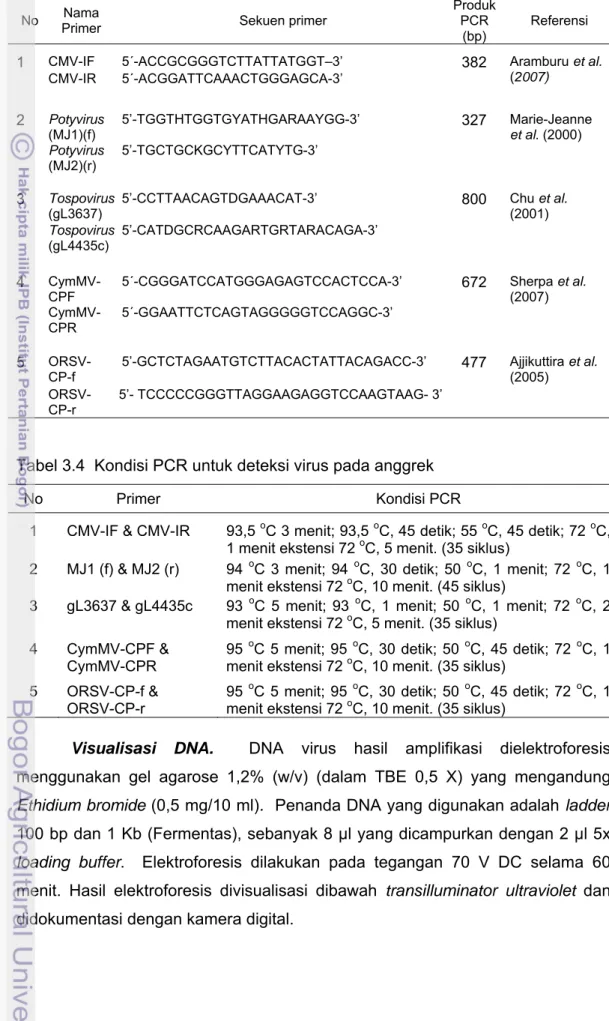 Tabel 3.3  Sekuen primer yang digunakan untuk deteksi virus pada anggrek 