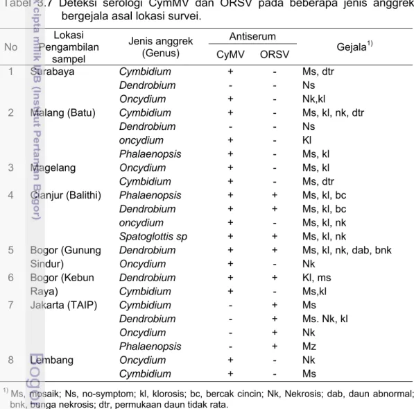 Tabel 3.7 Deteksi serologi CymMV dan ORSV pada beberapa jenis anggrek  bergejala asal lokasi survei