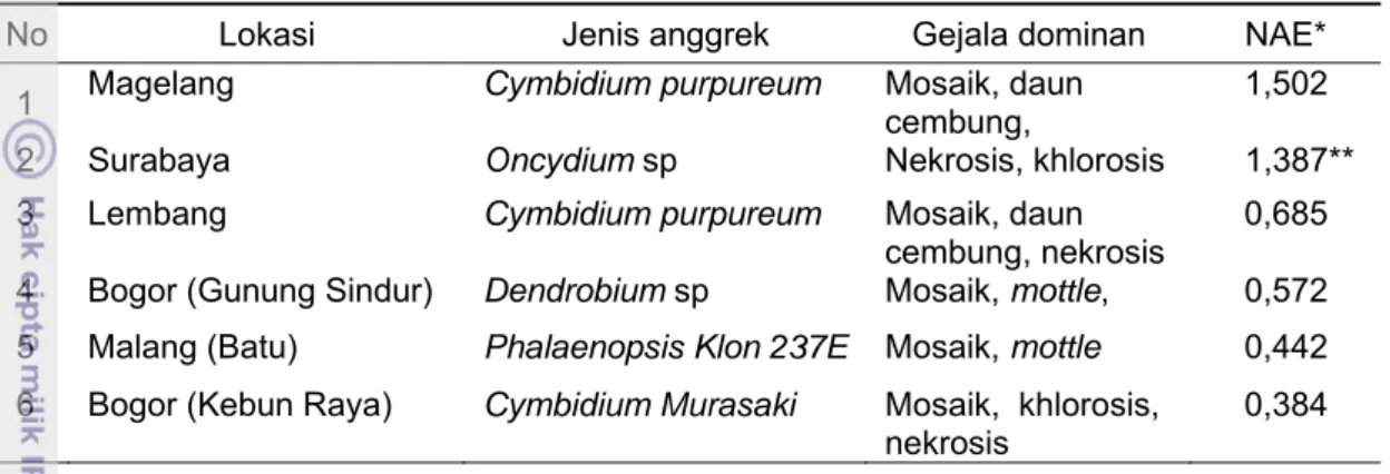 Tabel 3.8 Perbandingan hasil ELISA CymMV pada sampel anggrek yang  dikumpulkan dari beberapa lokasi survei