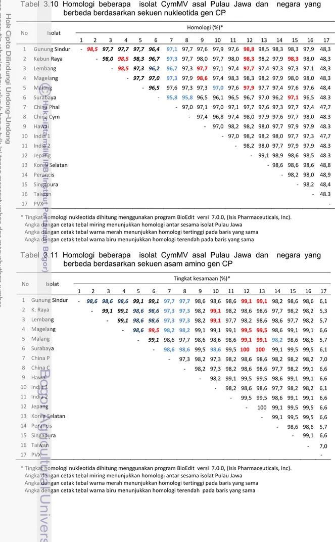 Tabel 3.10 Homologi beberapa  isolat CymMV asal Pulau Jawa dan  negara yang  berbeda berdasarkan sekuen nukleotida gen CP 