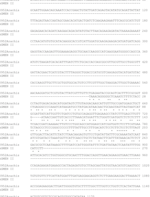 Gambar 4. Urutan DNA hasil sekuensing fragmen GGF2 