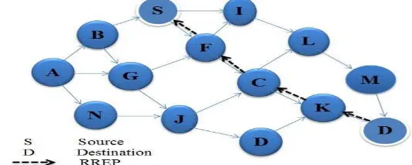 Figure 3.  An Example of Route Reply: Node S is the source, and Node D is the destination