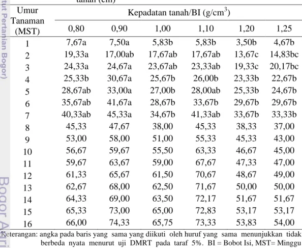 Tabel  10.  Pengaruh  kepadatan  tanah  terhadap  tinggi  tanaman  kacang  tanah (cm)  Umur  Tanaman  (MST)  Kepadatan tanah/BI (g/cm 3 ) 0,80 0,90 1,00 1,10  1,20  1,25  1  7,67a  7,50a  5,83b  5,83b  3,50b  4,67b 