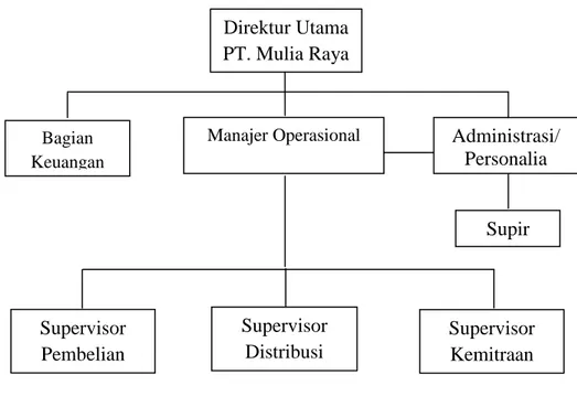 Gambar 7. Struktur Organisasi PT Mulia Raya  Sumber : PT Mulia Raya 