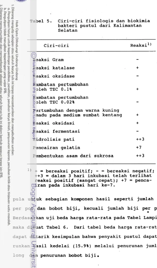 Tabel 5.  Ciri-ciri fisiologis dan biokimia  bakteri pustul dari Kalimantan  Selatan  Reaksi Gram  Reaksi katalase  Reaksi oksidase  Hambatan pertumbuhan  oleh TZC 0.1%  Hambatan pertumbuhan  oleh TZC 0.02% 