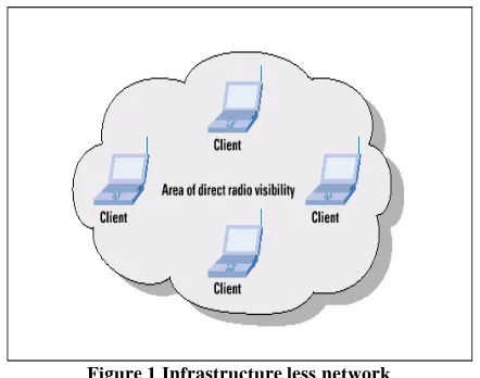 Figure 1 Infrastructure less network 