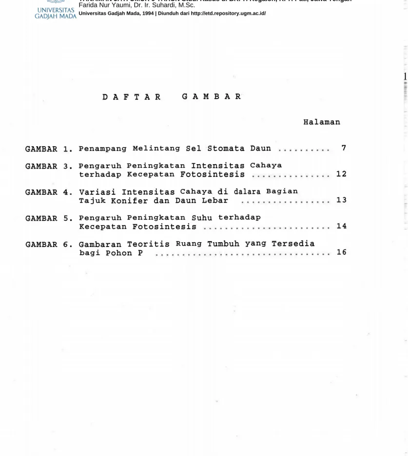GAMBAR 1 . P e n a m p a n g M e l i n t a n g Sel Stomata Daun 7 GAMBAR 3 . P e n g a r u h P e n i n g k a t a n Intensitas C a h a y a