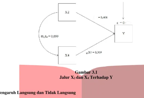 Gambar 3.1   Jalur X 2  dan X 4  Terhadap Y 