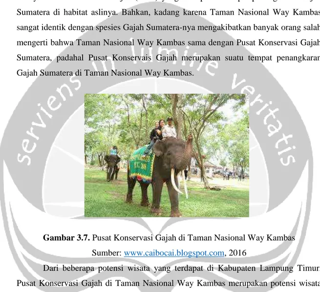 Gambar 3.7. Pusat Konservasi Gajah di Taman Nasional Way Kambas  Sumber: www.caibocai.blogspot.com, 2016 
