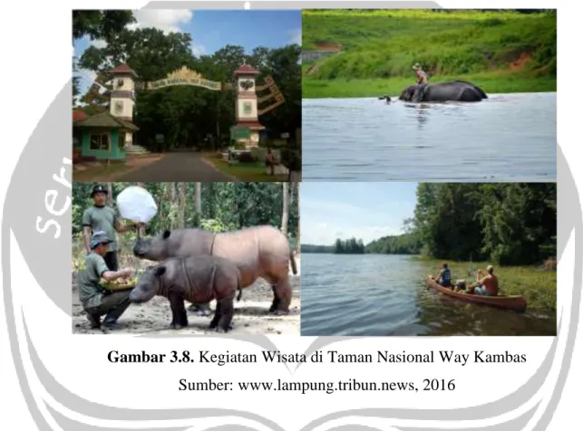 Gambar 3.8. Kegiatan Wisata di Taman Nasional Way Kambas  Sumber: www.lampung.tribun.news, 2016 