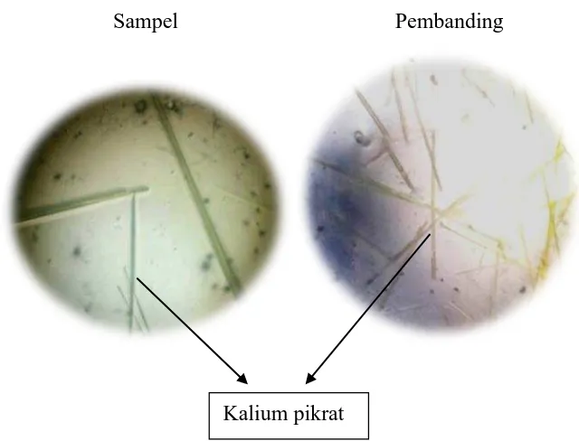 Gambar 11.  Kristal Kalsium Sulfat  