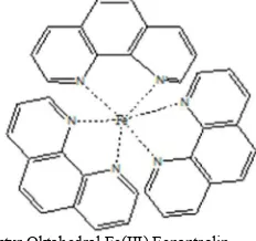 Gambar 3. Struktur Oktahedral Fe(III) Fenantrolin 
