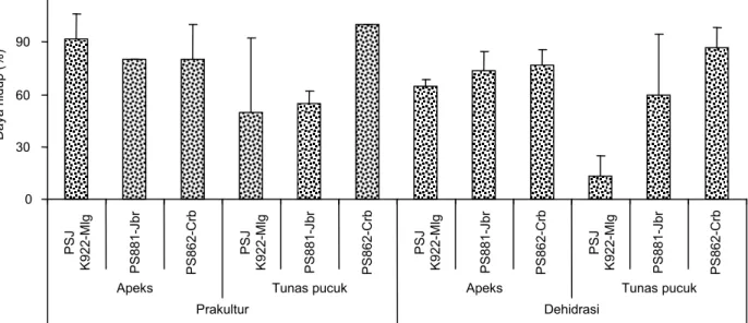 Gambar 2. Daya hidup eksplan apeks dan tunas pucuk tiga varietas tebu pasca-prakultur dan dehidrasi pada 4 MST