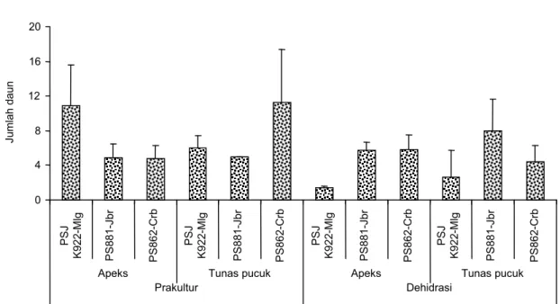 Gambar 4.  Jumlah  tunas  dan  daun  yang  terbentuk  dari  eksplan  apeks  dan  tunas  pucuk  tiga  varietas  tebu  pasca-perlakuan  prakultur dan dehidrasi pada 4 MST