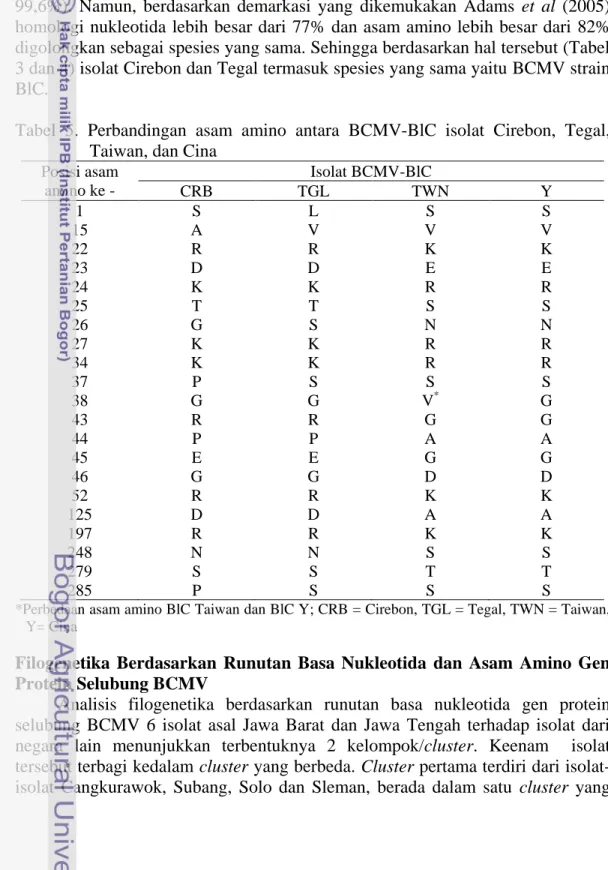 Tabel  5.  Perbandingan  asam  amino  antara  BCMV-BlC  isolat  Cirebon,  Tegal,  Taiwan, dan Cina 