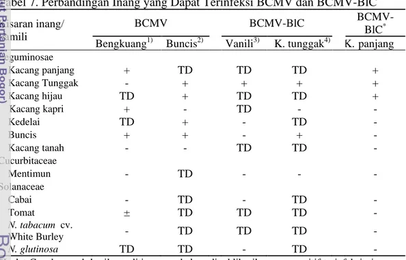 Tabel 7. Perbandingan Inang yang Dapat Terinfeksi BCMV dan BCMV-BlC  Kisaran inang/ 