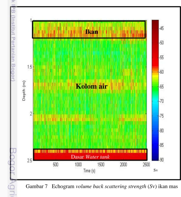 Gambar 7   Echogram volume back scattering strength (Sv) ikan mas 