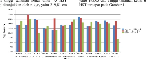 Gambar 1. Interaksi pupuk N, pupuk kotoran ayam dan ketiga varietas kenaf terhadap pertambahan tinggi  tanaman kenaf  umur 75 HST 