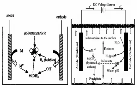 Gambar 2.2. Proses Pengikatan Polutan Pada Teknik Elektrokoagulasi. 