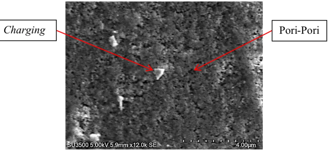 Gambar 4.14 Foto SEM aluminium anodizing selama 10 menit dengan  magnifikasi 12000 kali 