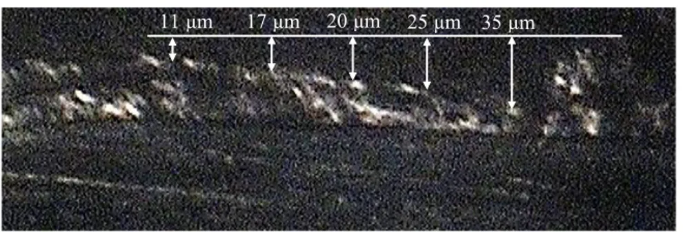 Gambar 4.5 Foto Makro lapisan oksida dengan variasi pencelupan anodizing 10  menit.          25µm 35 µm 14µm 22µm 20µm 11µm 11 µm 17 µm  20 µm  25 µm 
