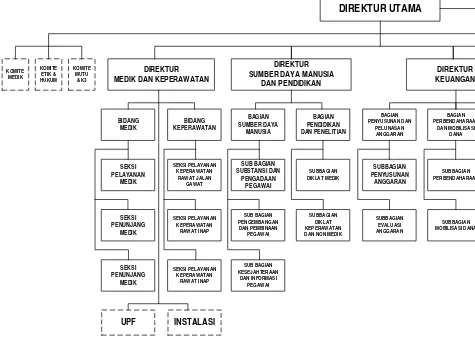 Gambar 3.1 Struktur organisasi RSHS 