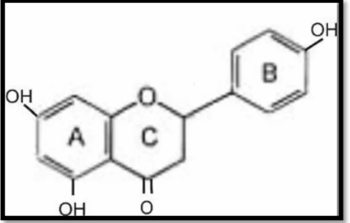 Gambar 1. Kerangka C6-C3-C6 Flavonoid (Hardianzah, R. 2009: 43) 