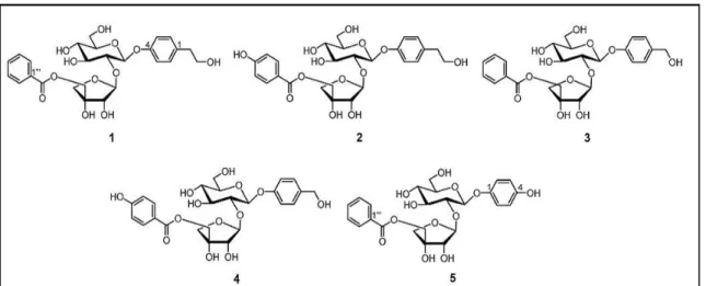 Gambar 2. Struktur glikosida fenolik cucurbitosides yang diisolasi dari biji Cucurbita moschata  Li  FS  et  al    (2009)  juga  menemukan  senyawa  glikosida  fenolik  dalam  biji  C  moschata  yaitu  phenylcarbinyl  5-O-(4-hydroxy)  benzoyl-beta-D-apiofu