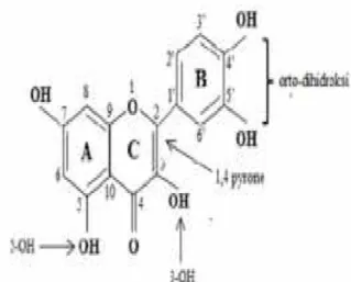 Gambar 2.2 Struktur kimia Flavonoid pada Isoflavon  Sumber : (Astuti, 2009 cit. Cahyati, Santoso, &amp; Juswono, 2013) 