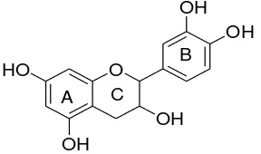 Gambar 2.11 Katekin (Harborne, 1987). 