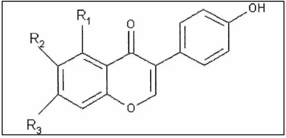 Tabel 4. Hasil analisis senyawa isoflavon tepung kedelai dan tepung tempe. Gambar 1. Struktur Isoflavon (Winarsi 2005) 