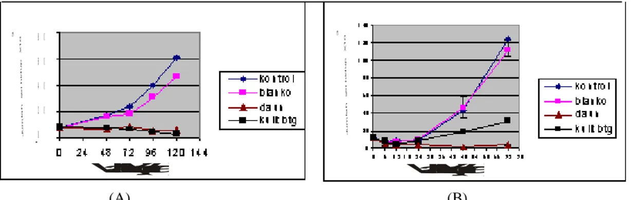 Gambar  3.  Profil  pertumbuhan  sel  HeLa  hasil uji  doubling  time  ekstrak  etanol  daun  dan  kulit batang cangkring kadar 1,0 mg/ml (A) dan 0,5 mg/ml (B)  