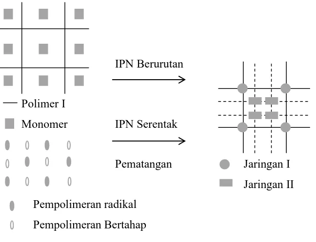 Gambar  2.6. IPN Berurutan dan IPN Serentak (Odian, 2004). 