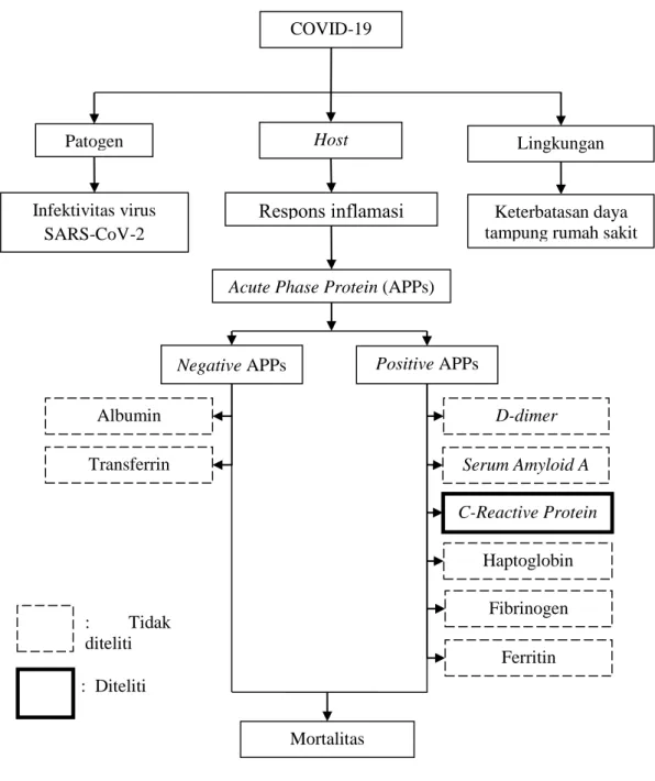 Gambar 2.1. Kerangka Pemikiran 