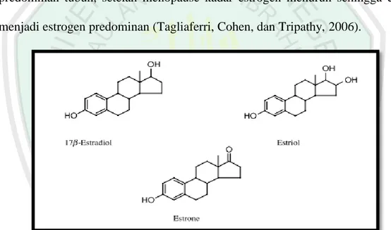 Gambar  2.3:  Struktur  Hormon  Endogen  Estrogen  (Ososki  and  Kennelly,  2003; 