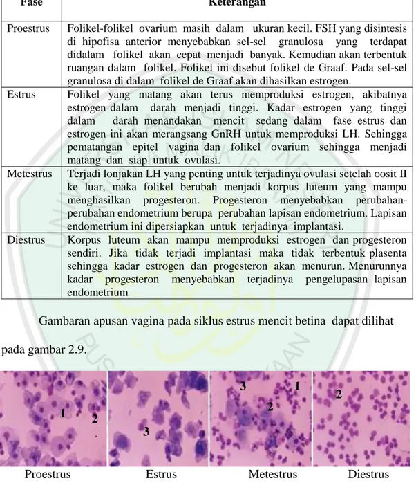 Tabel  2.1:  Perubahan  Folikel  Ovarium  Selama  Siklus  Estrus  (Akbar,  2010). 